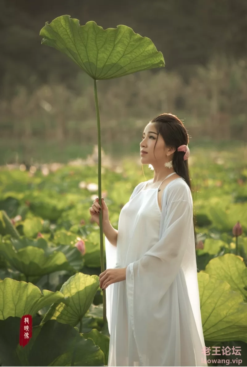 [自拍]
[转载搬运] 【搬运】汉服合集 [太久了，忘了+19.72][百度盘]